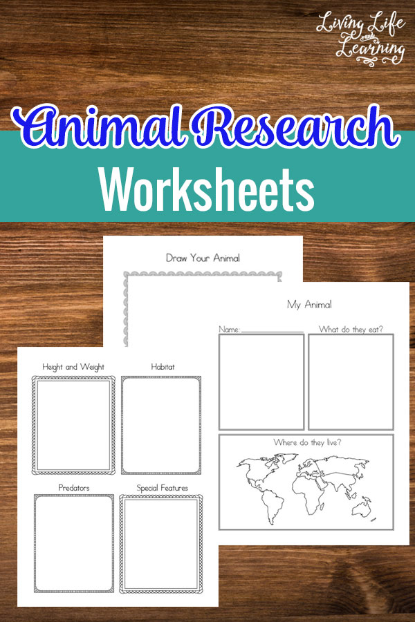 My Animal Research Worksheets