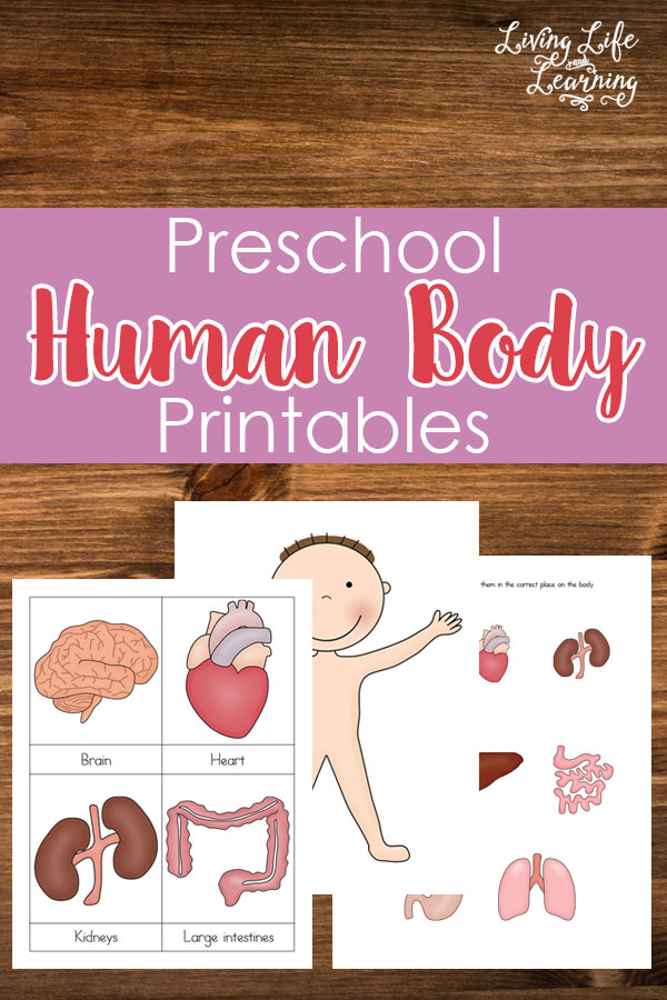 Preschool Human Body Printables