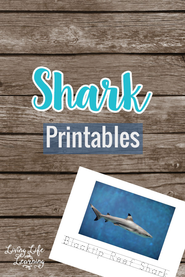 Shark Printables