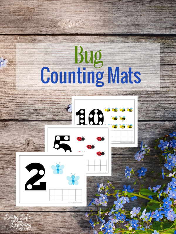 Bug Counting Mats