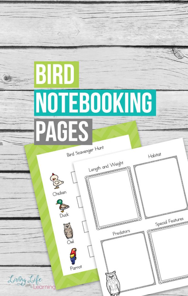 Bird Notebooking Pages