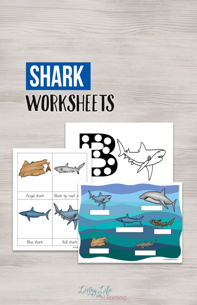 Shark Worksheets