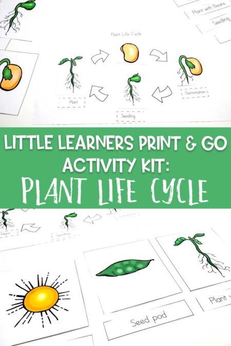Little Learners print and go activity kit plant life cycle