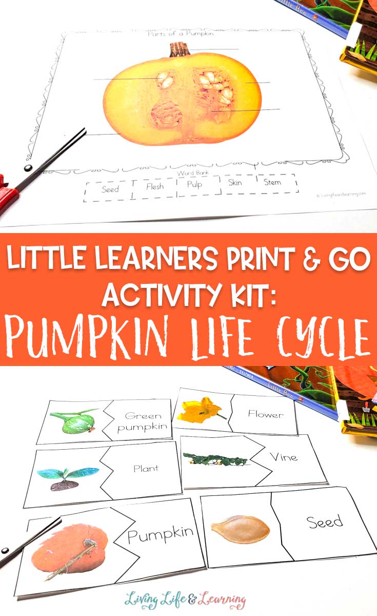 Little Learners print and go activity kit pumpkin life cycle