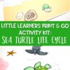 Little Learners Print & Go Activity Kit: Sea Turtle Life Cycle