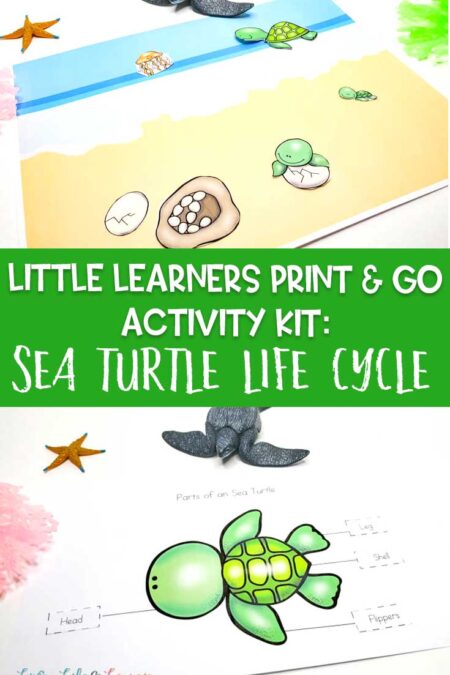 Little Learners print and go activity kit sea turtle life cycle