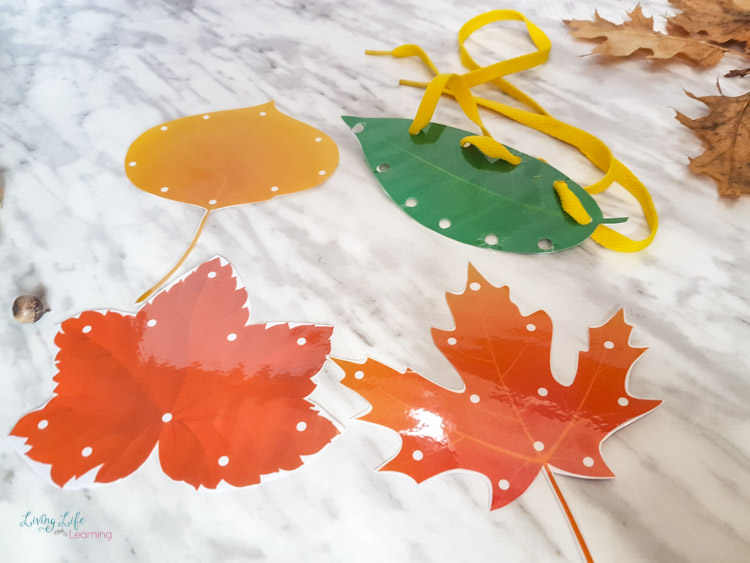 fall leaf lacing cards
