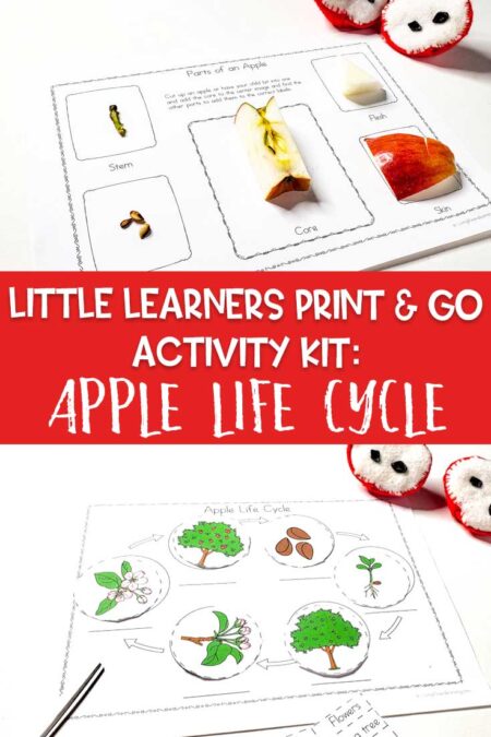 Little Learners print and go activity kit apple life cycle