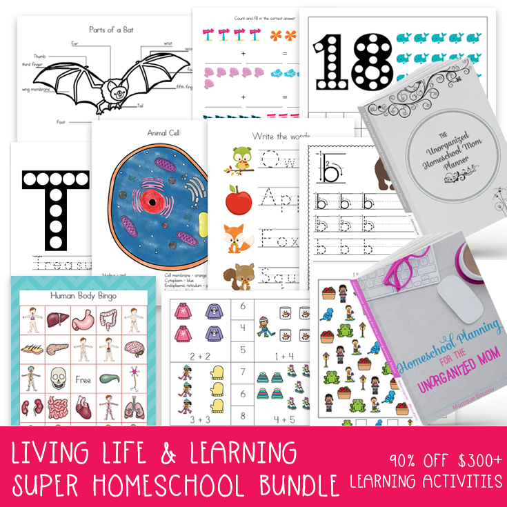 Super Homeschool Bundle