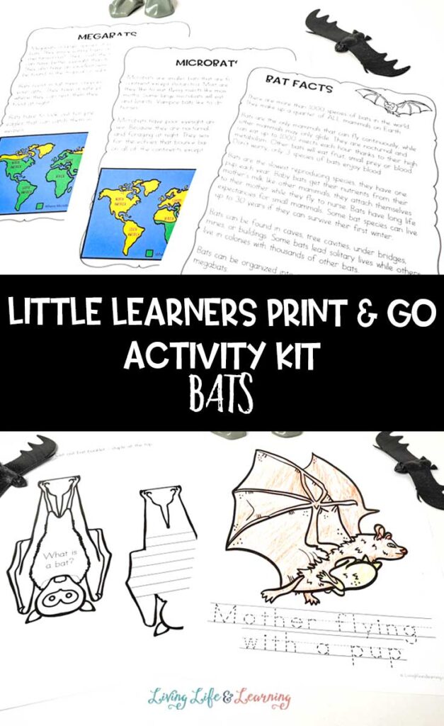 Little Learners print and go activity kit bats