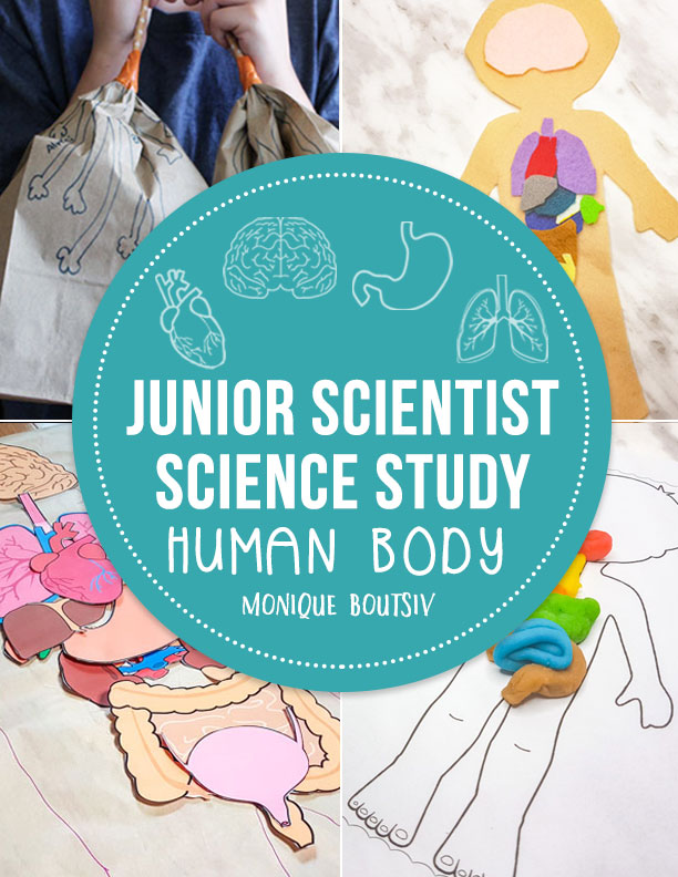 Junior Scientist Science Study: Human Body