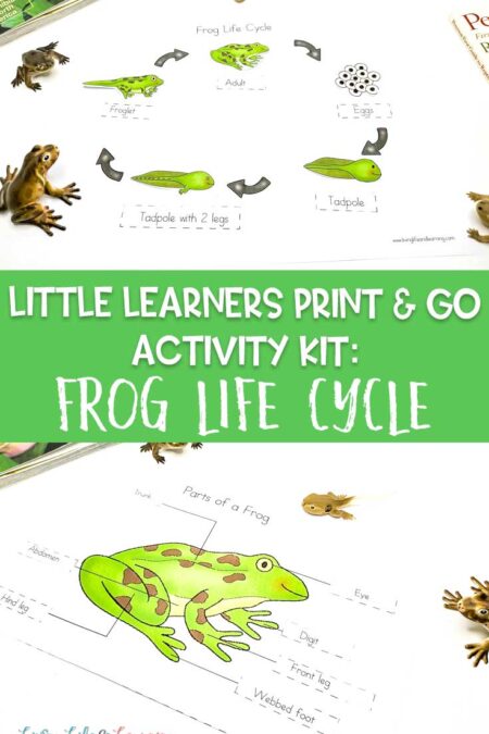Little Learners Print & Go Activity Kit: Frog Life Cycle