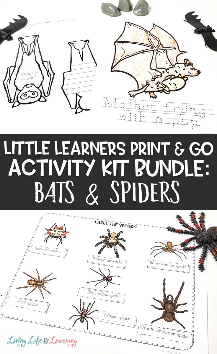 Little Learners print and go activity kit bats and spiders