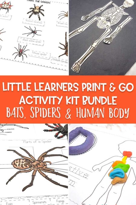Little Learners print and go activity kit bats spiders and human body