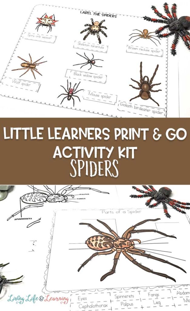 Little Learners Print and Go Activity Kit Spiders