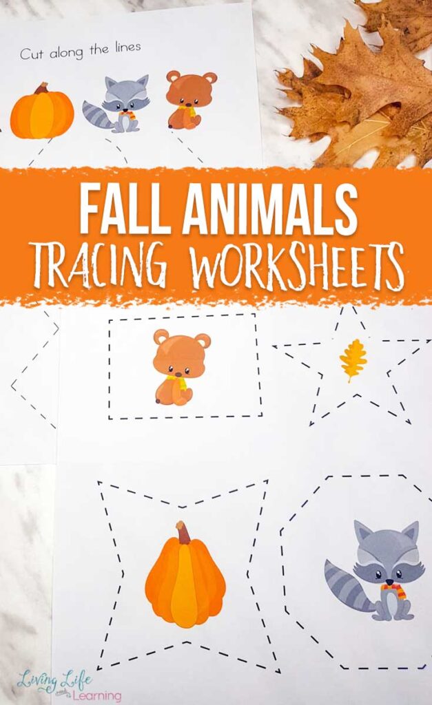 Fall Animals Tracing Worksheets