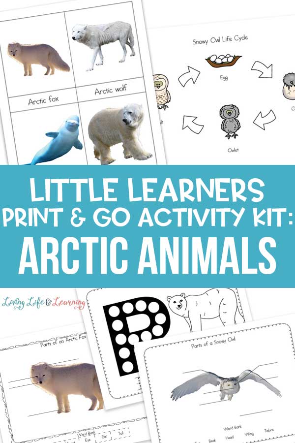 Little Learners print and go activity kit arctic animals