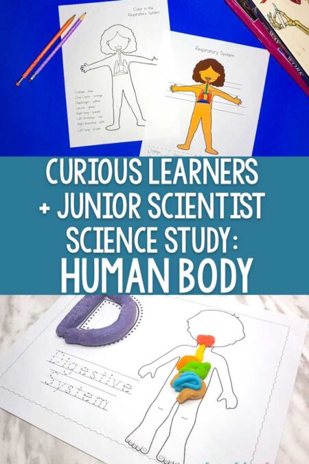 Curious Learners + Junior Scientist Science Study: Human Body