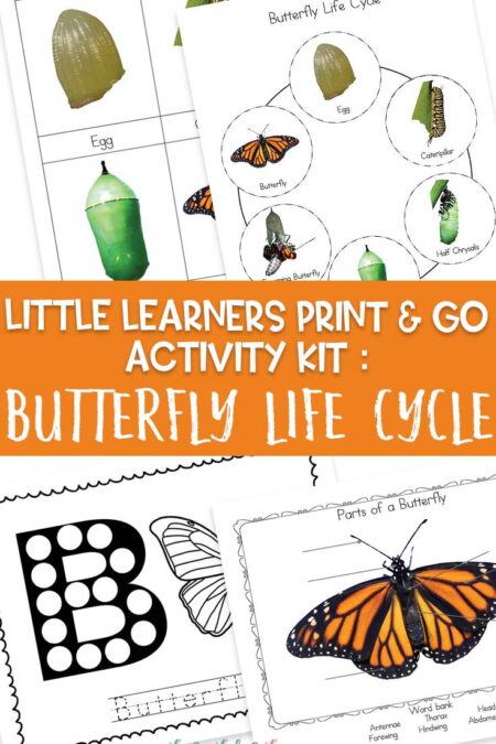 Little Learners print and go activity kit butterfly life cycle