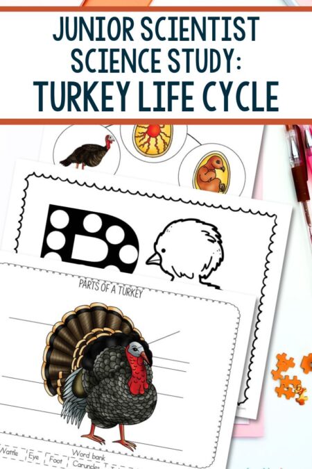 Junior Scientist Science Study: Turkey Life Cycle