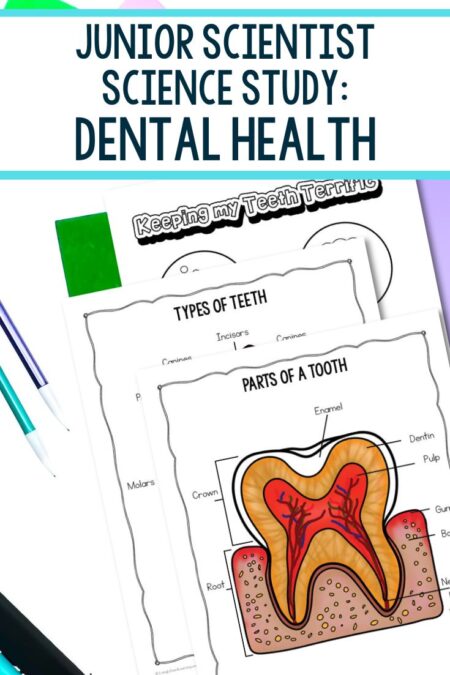 Junior Scientist Science Study: Dental Health