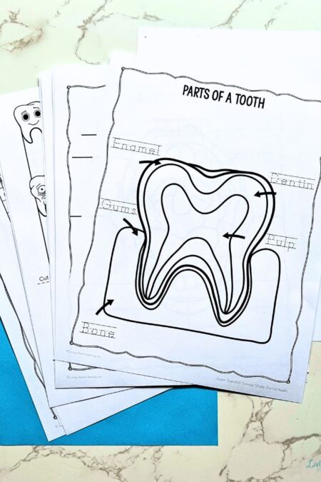 Junior Scientist Science Study: Dental Health