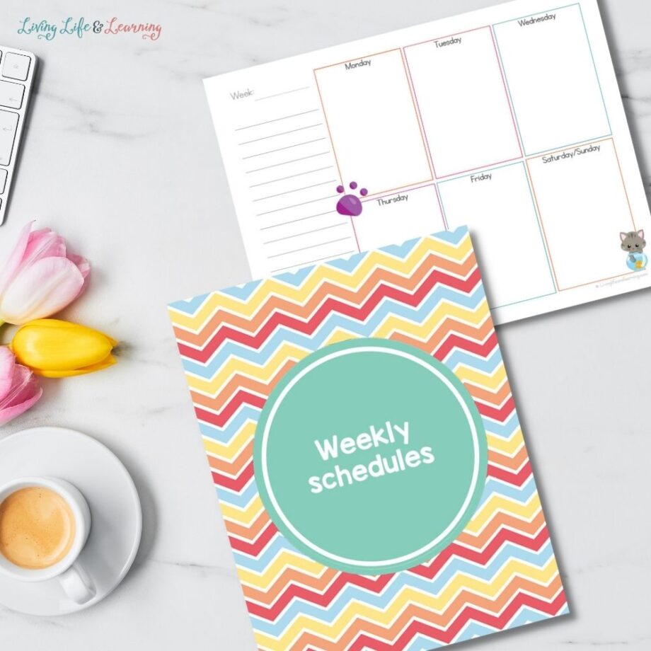 Student Planner Pages: Cats Theme