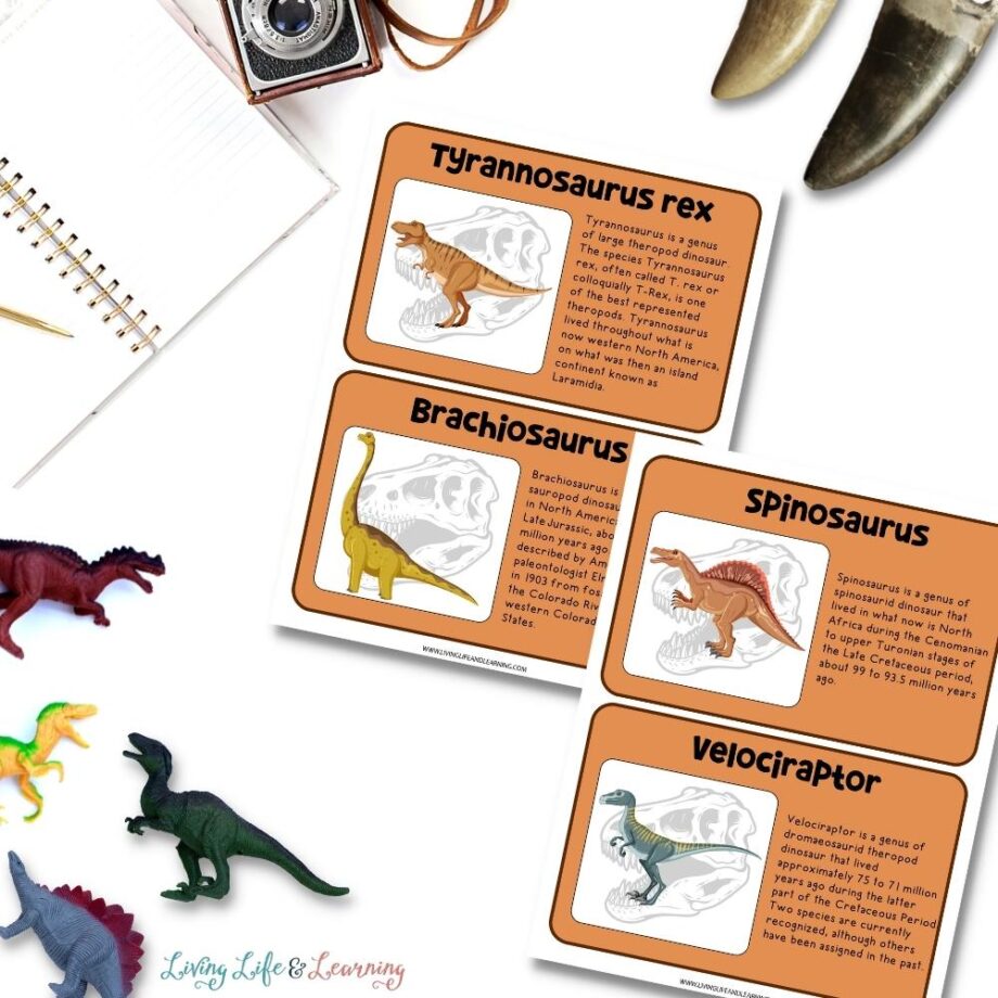 dinosaur museum pretend play pack