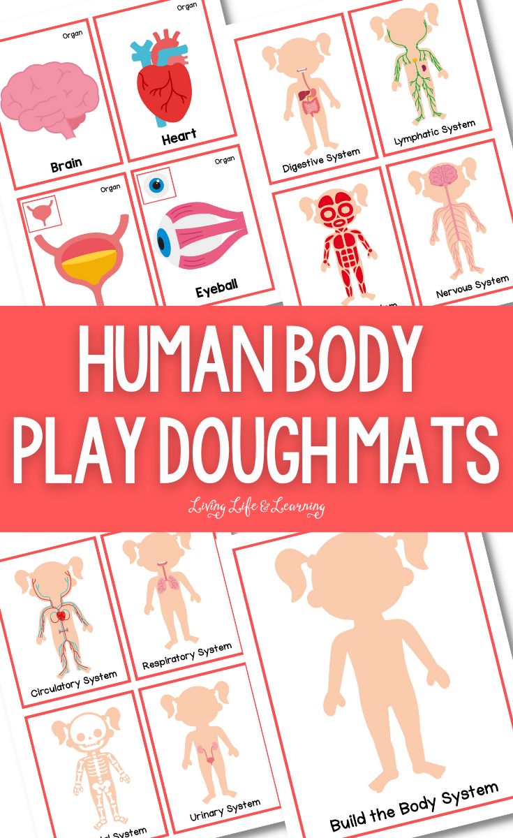 Human Body Play Dough Mats