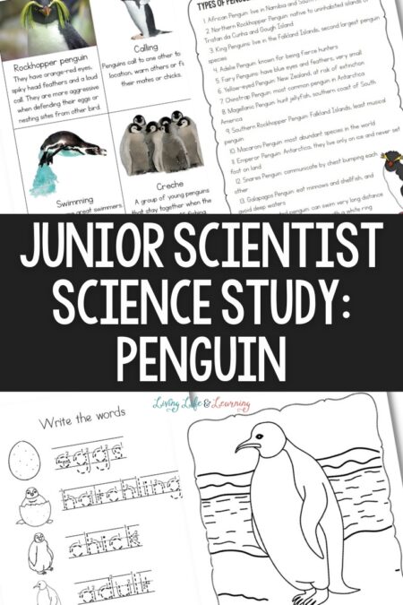 Junior Scientist Science Study: Penguin printables