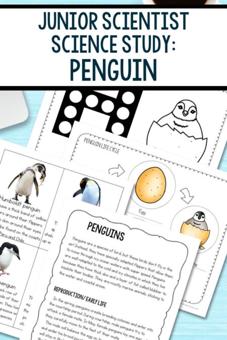 Junior Scientist Science Study: Penguin