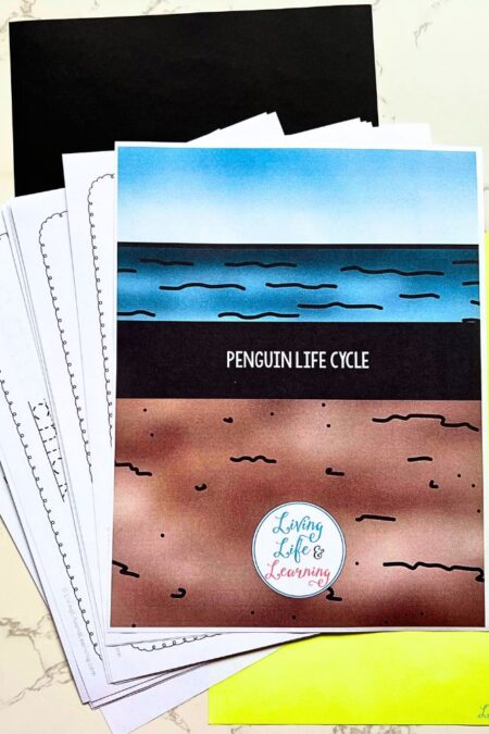 Junior Scientist Science Study: Penguin