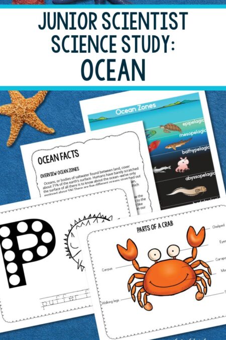 Junior Scientist Science Study: Ocean