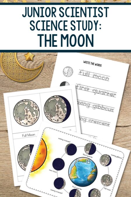 Junior Scientist Science Study The Moon