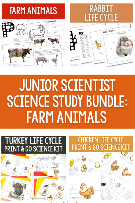 Junior Scientist Science Study Bundle: farm animals
