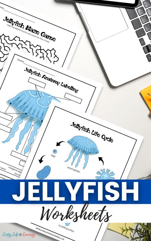 Jellyfish Worksheets