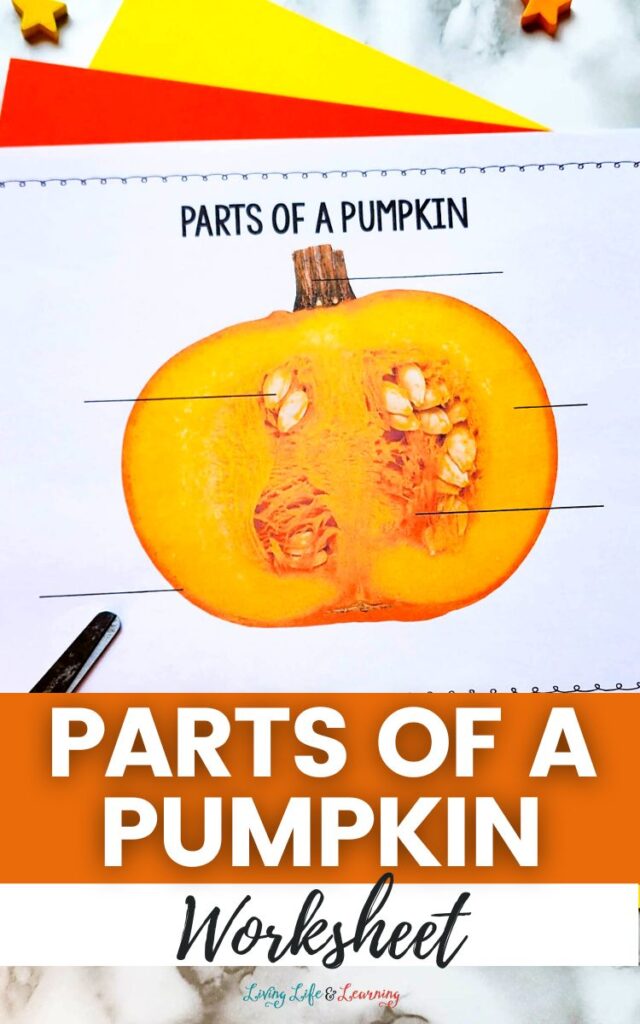 Parts of a Pumpkin Worksheet