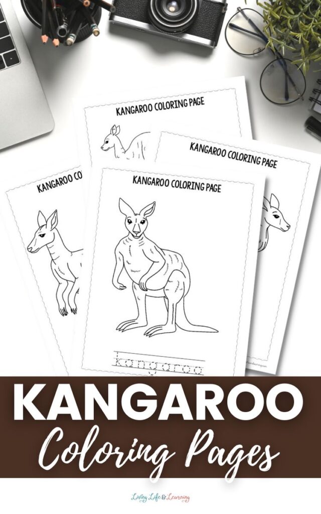 Kangaroo Coloring Pages