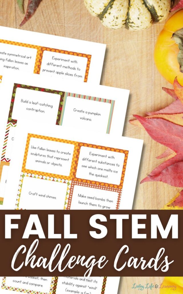 Fall STEM Challenge Cards
