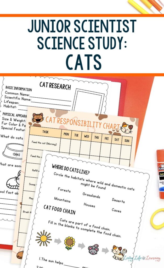 Junior Scientist Science Study: Cats