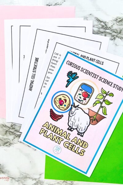 TPT Graphics – Curious Scientist Science Study Animal and Plant Cells (2) pages of Curious Scientist Science Study Animal and Plant Cells activity pack