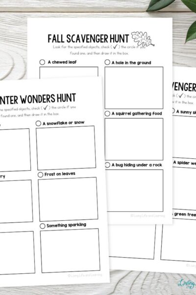 TPT Graphics – Nature Scavenger Hunt (2) three pages included in the Nature Scavenger Hunt