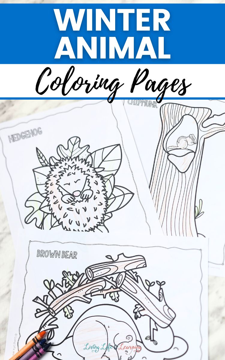 Winter Animal Coloring Pages