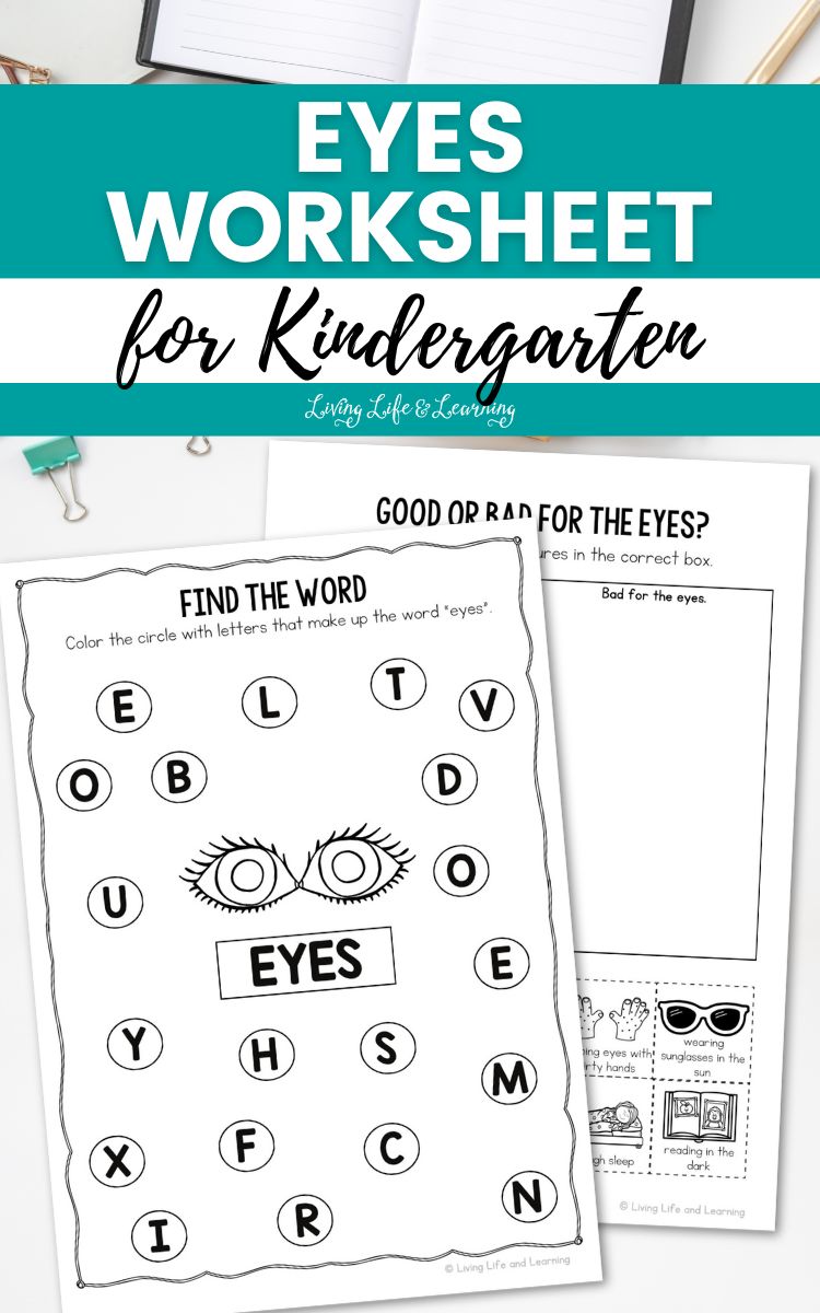 Eyes Worksheet for Kindergarten