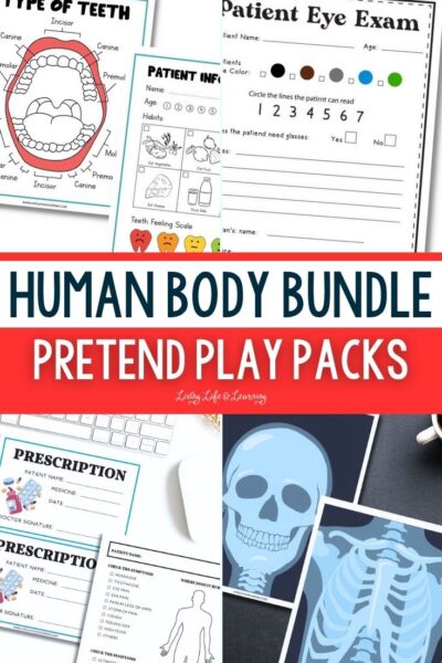 Human Body Pretend Play Packs Bundle collage