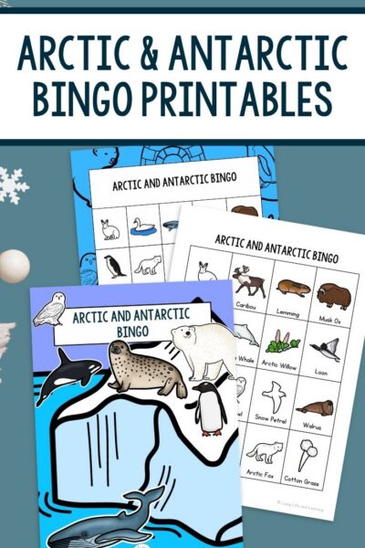 Arctic & Antarctic Bingo Printables on a table