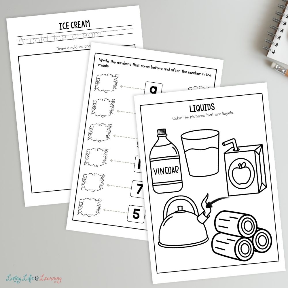three Little Learners Activity Pack: States of Matter