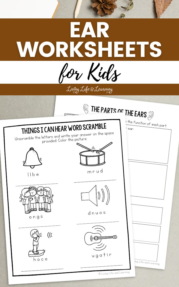 Ear Worksheets for Kids