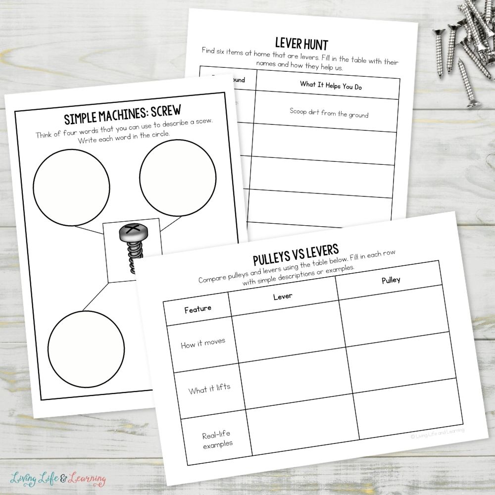 pages of Junior Scientist Activity Pack: Simple Machines