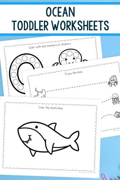 Ocean Toddler Worksheets on a table